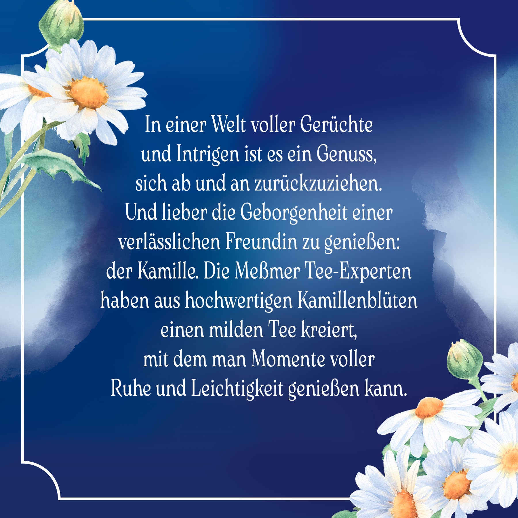 Weißer Kamilleblütenrahmen auf blauem Hintergrund mit Text über die beruhigende Wirkung und den milden Geschmack von Kamille Tee der Kamille Produktlinie.