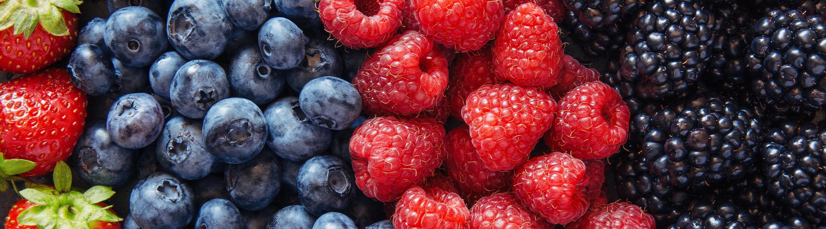 Nahaufnahme von frischen Erdbeeren, Blaubeeren, Himbeeren und Brombeeren, die nebeneinander angeordnet sind und ihre leuchtend roten, blauen und schwarzen Farben und detaillierten Texturen zeigen.