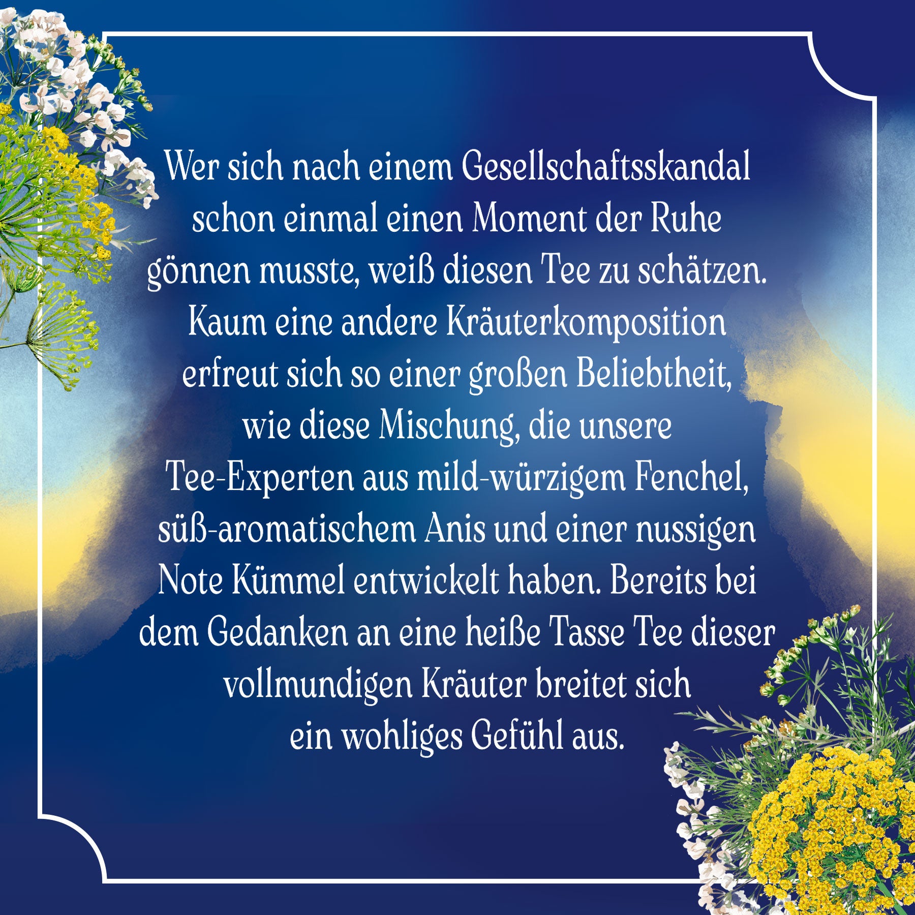 Fenchel-Anis-Kümmel Tee mit mild-würzigem Fenchel, süß-aromatischem Anis und nussigem Kümmel für ein wohliges Gefühl und entspannte Momente.